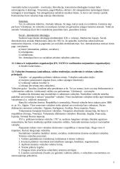 Politologija. Politinė sistema 8 puslapis