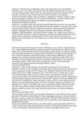 Prancūzija ir jos charakteristika 15 puslapis