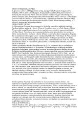 Prancūzija ir jos charakteristika 19 puslapis