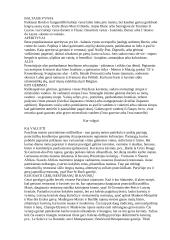 Prancūzija ir jos charakteristika 7 puslapis