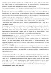 Prekybos politika 2 puslapis