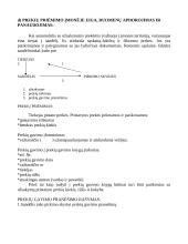 Prekių priėmimas ir kontrolė 4 puslapis