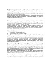 Priežastys trukdančios įeiti į užsienio rinką 4 puslapis