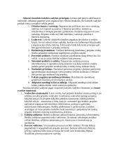 Projekto vadyba 2 puslapis