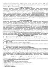 Projekto vadybos teorija pasiruošti egzaminui 2 puslapis