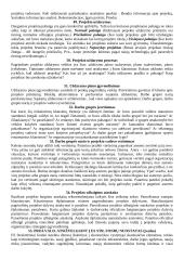 Projekto vadybos teorija pasiruošti egzaminui 11 puslapis