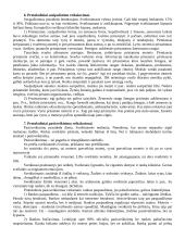 Protokolas ir etiketas. Esminiai kurso klausimai 3 puslapis