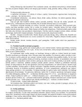 Protokolas ir etiketas. Esminiai kurso klausimai 5 puslapis