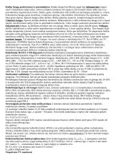 Radijo ir televizijos tinklai 2 puslapis