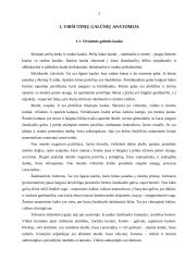 Rankų protezinė sistema: galimybės ir ypatumai 2 puslapis