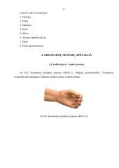 Rankų protezinė sistema: galimybės ir ypatumai 11 puslapis