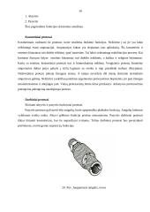 Rankų protezinė sistema: galimybės ir ypatumai 16 puslapis