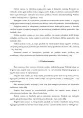 Rankų protezinė sistema: galimybės ir ypatumai 4 puslapis