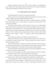 Rankų protezinė sistema: galimybės ir ypatumai 8 puslapis