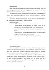 Informaciniai dokumentai. Jų reikšmė. Informacinių dokumentų įforminimas 11 puslapis