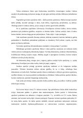 Informaciniai dokumentai. Jų reikšmė. Informacinių dokumentų įforminimas 12 puslapis