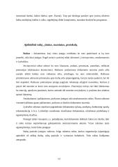 Informaciniai dokumentai. Jų reikšmė. Informacinių dokumentų įforminimas 13 puslapis