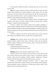 Informaciniai dokumentai. Jų reikšmė. Informacinių dokumentų įforminimas 4 puslapis