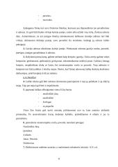 Informaciniai dokumentai. Jų reikšmė. Informacinių dokumentų įforminimas 8 puslapis