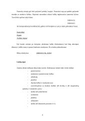 Informaciniai dokumentai. Jų reikšmė. Informacinių dokumentų įforminimas 9 puslapis