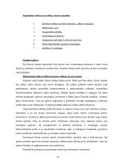 Informaciniai dokumentai. Jų reikšmė. Informacinių dokumentų įforminimas 10 puslapis