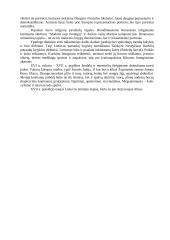 Renesansas (atgimimas) 6 puslapis