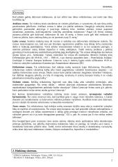 Rinkimai, rinkimų tipai 2 puslapis