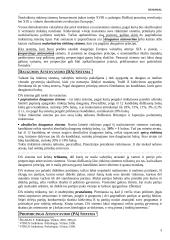 Rinkimai, rinkimų tipai 3 puslapis