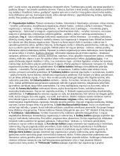 Ryšiai su visuomene - teorija 5 puslapis