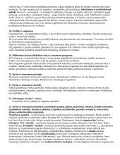 Ryšiai su visuomene - teorija 6 puslapis