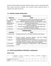 Rizikos nustatymas. Finansinės rizikos analizė 2 puslapis