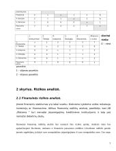 Rizikos nustatymas. Finansinės rizikos analizė 3 puslapis