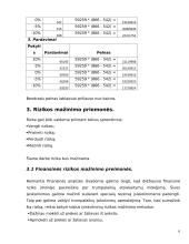 Rizikos nustatymas. Finansinės rizikos analizė 6 puslapis