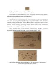 Robotų technika 11 puslapis