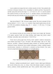 Robotų technika 12 puslapis