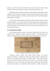 Robotų technika 20 puslapis