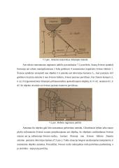Robotų technika 9 puslapis