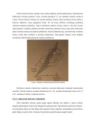 Robotų technika 10 puslapis