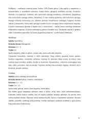 Silikato junginiai 12 puslapis