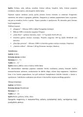 Silikato junginiai 6 puslapis