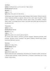 Silikato junginiai 9 puslapis