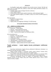 Socialinė integracija 2 puslapis