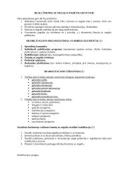 Socialinė integracija 3 puslapis