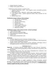 Socialinė integracija 4 puslapis