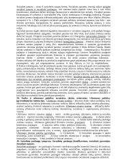 Socialinės saugos konspektas 20 puslapis