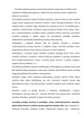 Socialinė teisė 17 puslapis