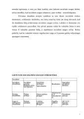 Socialinė teisė 3 puslapis