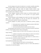 Socialinės pedagogikos raida 5 puslapis