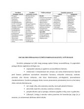 Socialinės pedagogikos raida 6 puslapis
