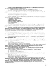 Socialinis aprūpinimas 2 puslapis